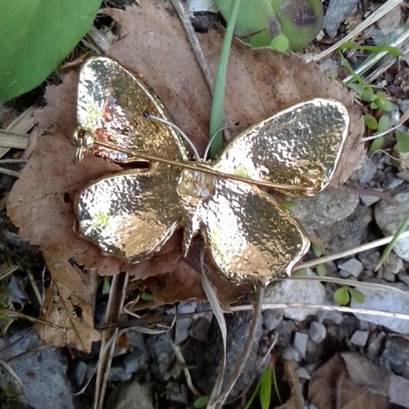 Butterfly Pin - Picture 3 of 5